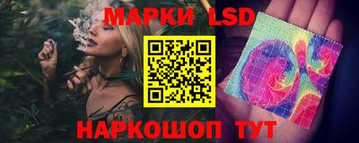 бошки Гатчина