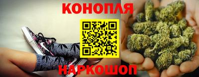 прущие грибы Гагарин