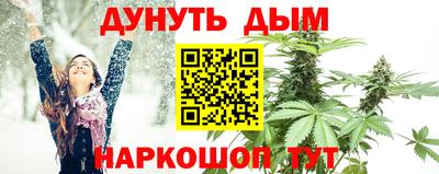 амф Гай
