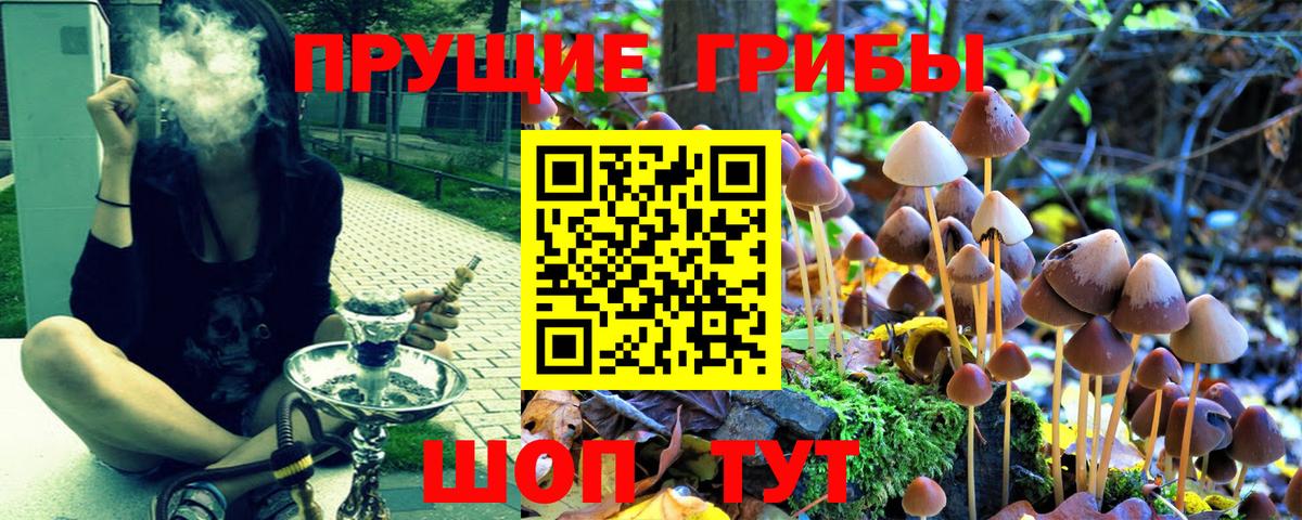 Галлюциногенные грибы мицелий Набережные Челны