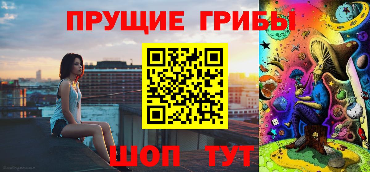 купить   Вход с VPN  Набережные Челны  Галлюциногенные грибы Psilocybine cubensis 